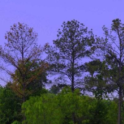 万博官网manbetx-登录入口