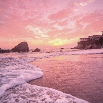 火狐app最新登录