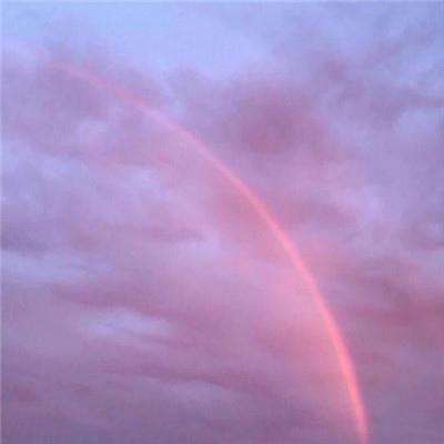 BOB体育综合官方平台APP