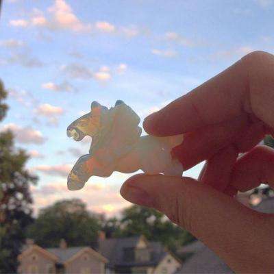 BSport·APP在线登录app下载