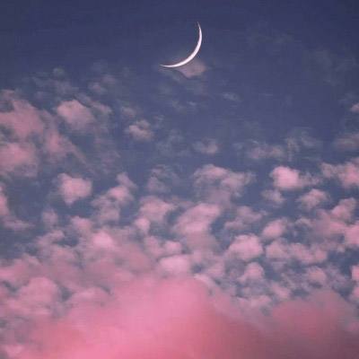 ROR体育官网登录入口app下载