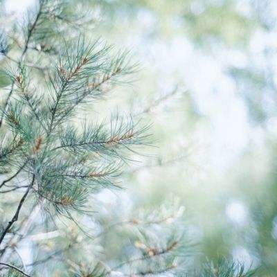 365体育官网入口