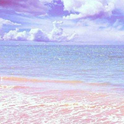 完美体育·app下载