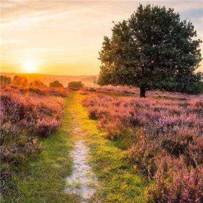 AG九游会手机app下载