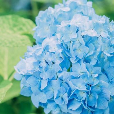 Kaiyun·开云体育app下载