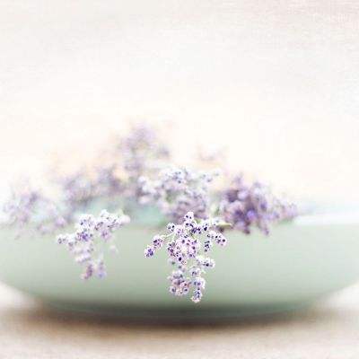 半岛·体育中国官方网站下载截图