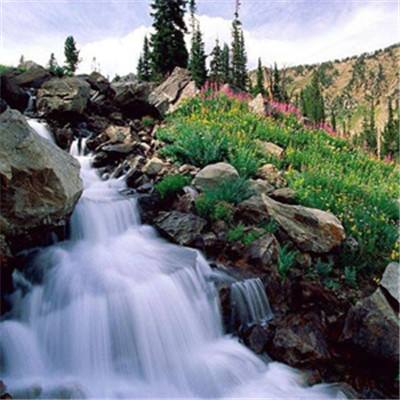 万博官网manbetx-登录入口