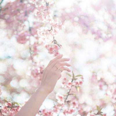 富翁彩票大厅~welcome